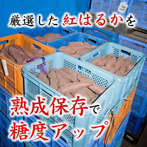 厳選した国産の鹿児島県産さつま芋「べにはるか」を熟成保存して糖度をアップさせます。